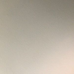 Meet your Posher, Leo